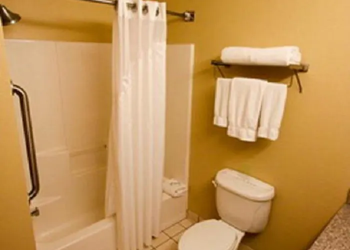 Express & Chicago-algonquin By Ihg Hotel 3*