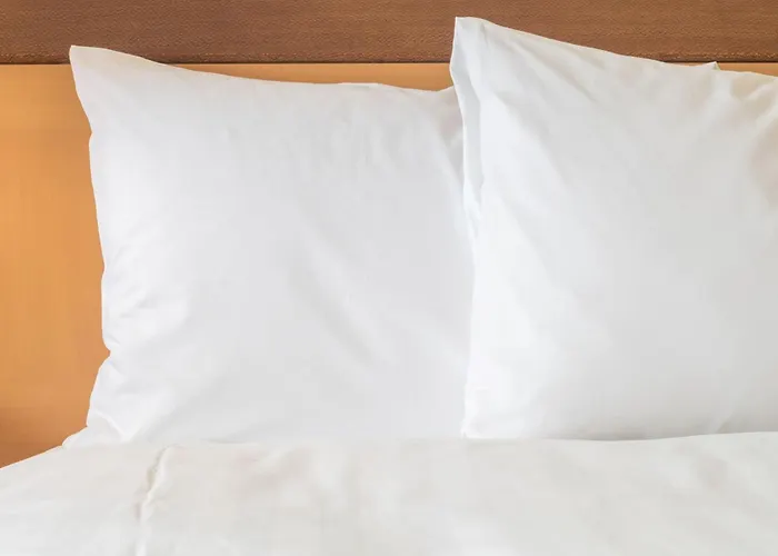 Express & Chicago-algonquin By Ihg